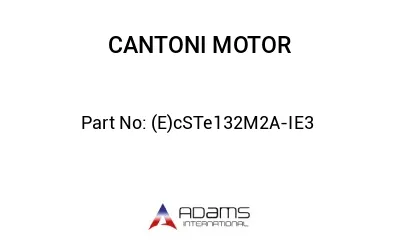 (E)cSTe132M2A-IE3 