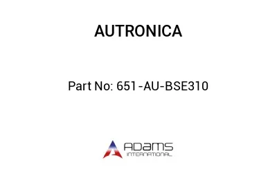 651-AU-BSE310