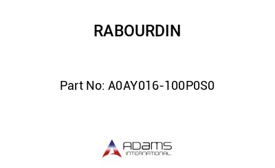A0AY016-100P0S0
