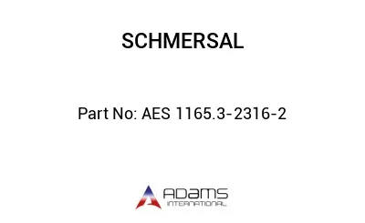 AES 1165.3-2316-2