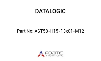 AST58-H15-13x01-M12