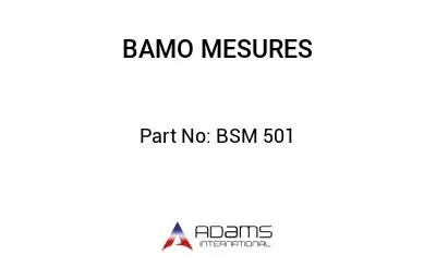 BSM 501