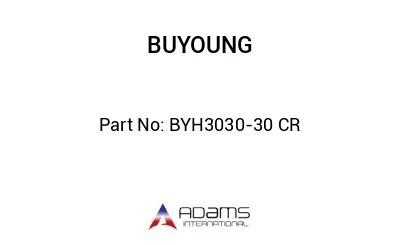 BYH3030-30 CR