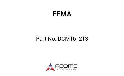 DCM16-213