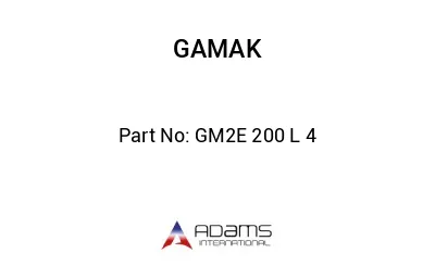 GM2E 200 L 4