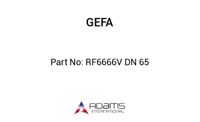 RF6666V DN 65