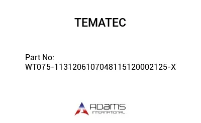 WT075-1131206107048115120002125-X